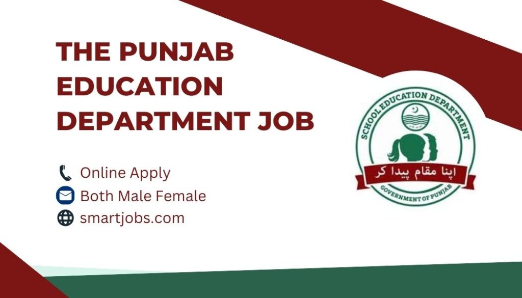 The Punjab Education Department Job