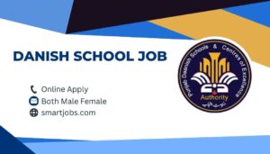 Danish School Job